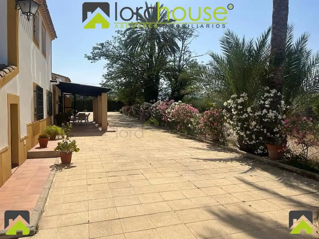Exterior view of Houses for sale in Lorca