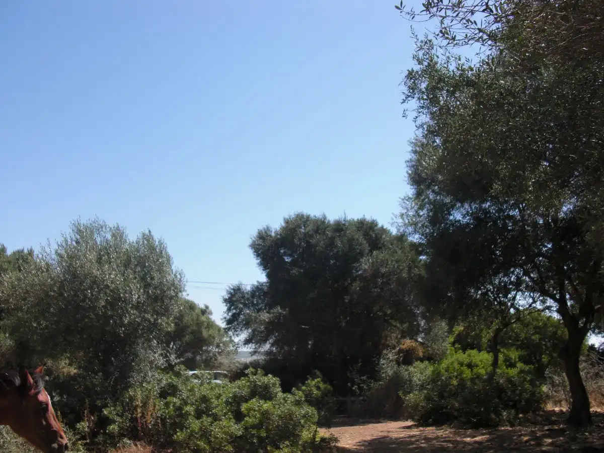 Casa rústica en venda a Vejer, imagen 4