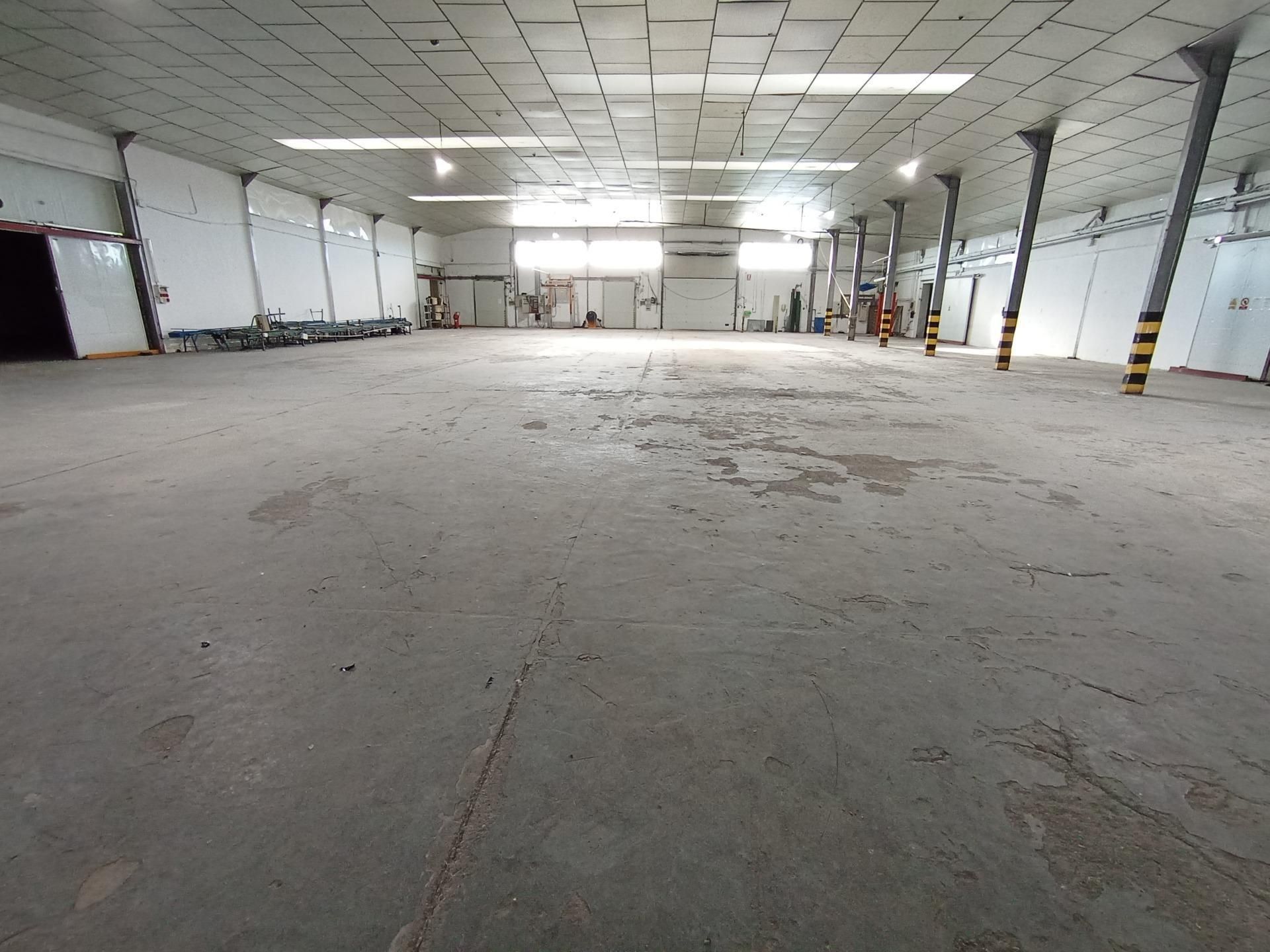 Nau industrial de lloguer en Elche / Elx