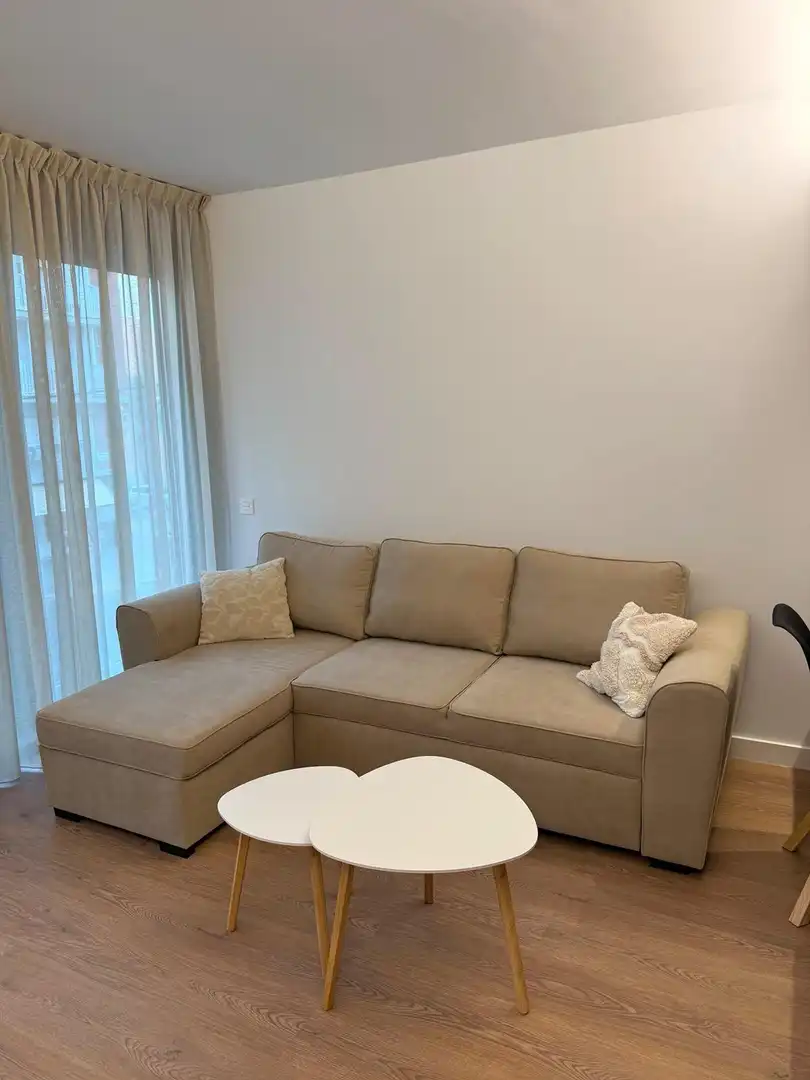 Living room of Flat for rent in Alicante / Alacant  with Terrace