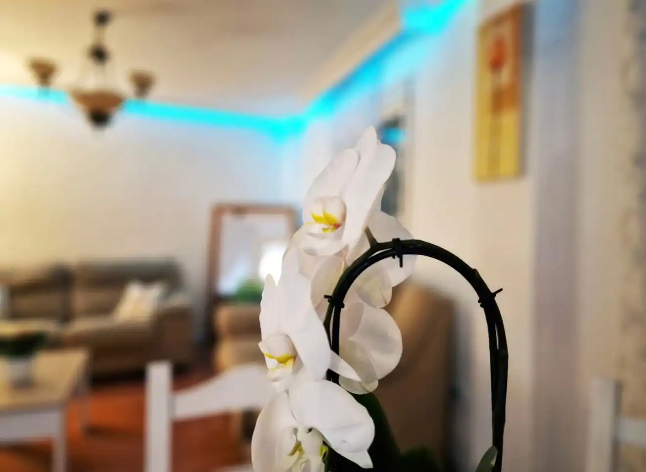 Sala d'estar de Casa adosada de lloguer en Málaga amb Aire condicionat, Calefacció i Jardí privat