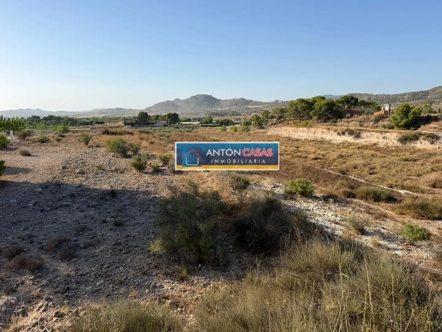 Rural land for sale in Novelda, imagen 6