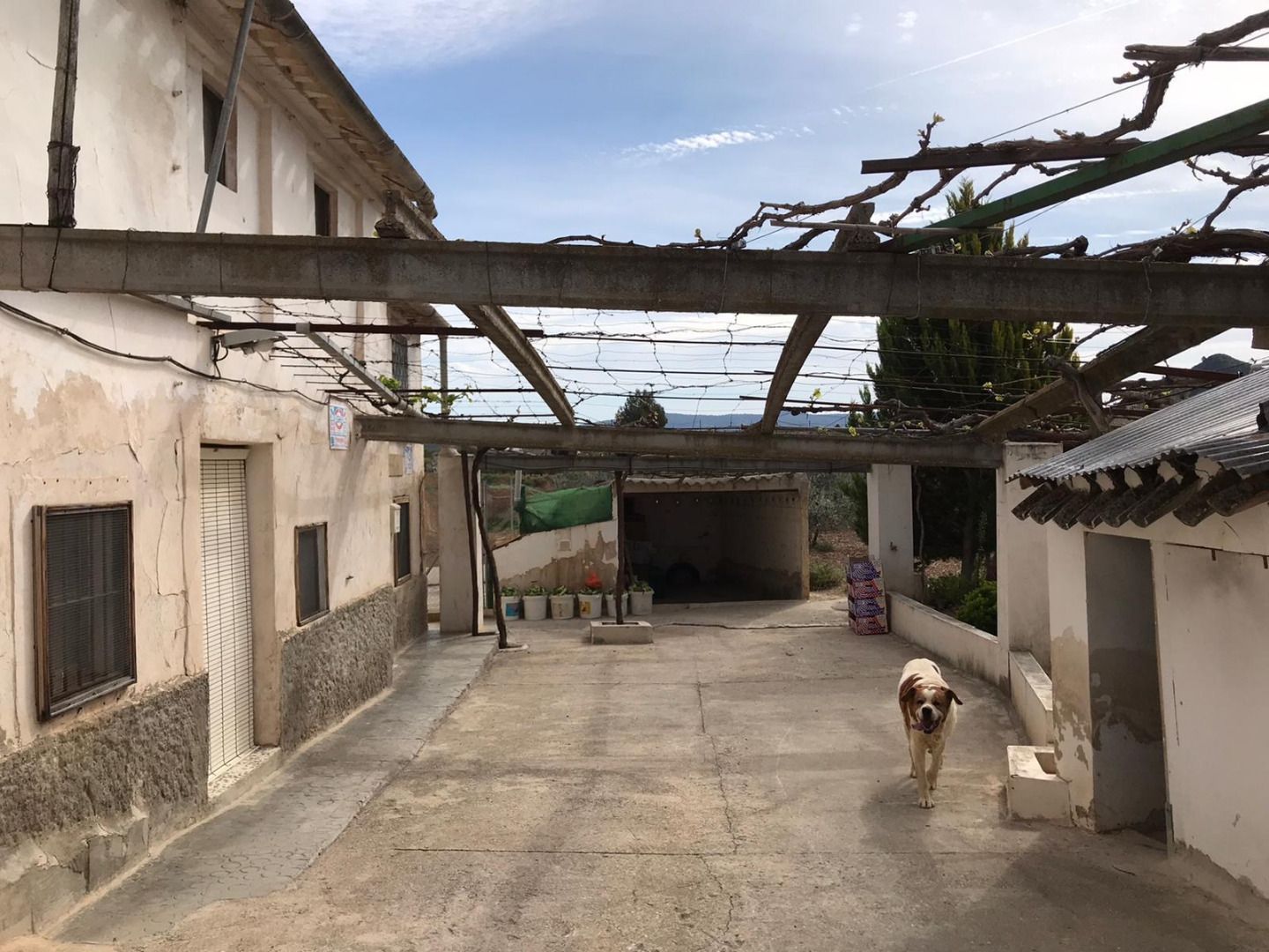 Vista exterior de Finca rústica en venda en Cehegín amb Aire condicionat, Jardí privat i Terrassa