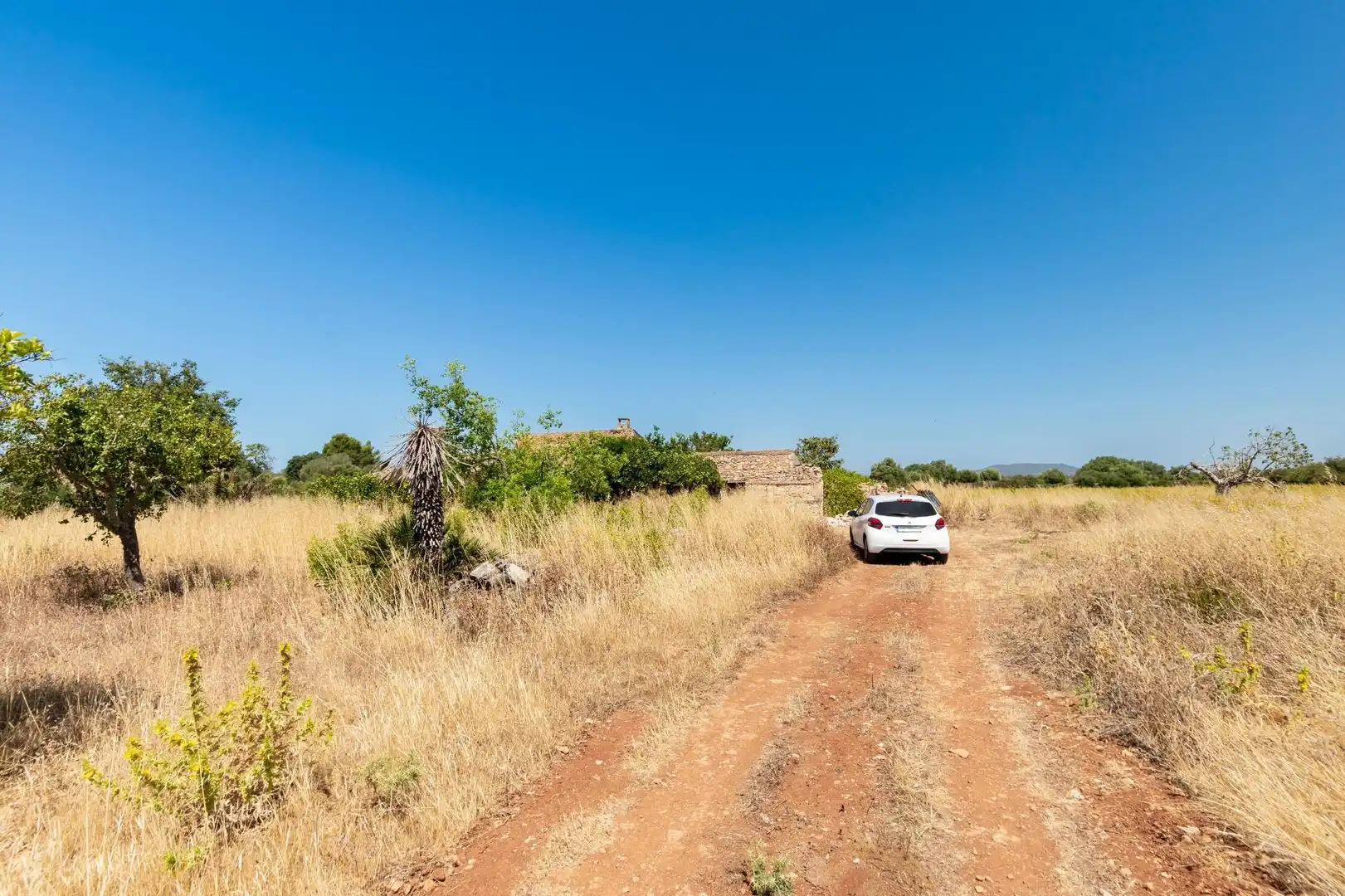 Finca rústica en venda en Felanitx amb Terrassa