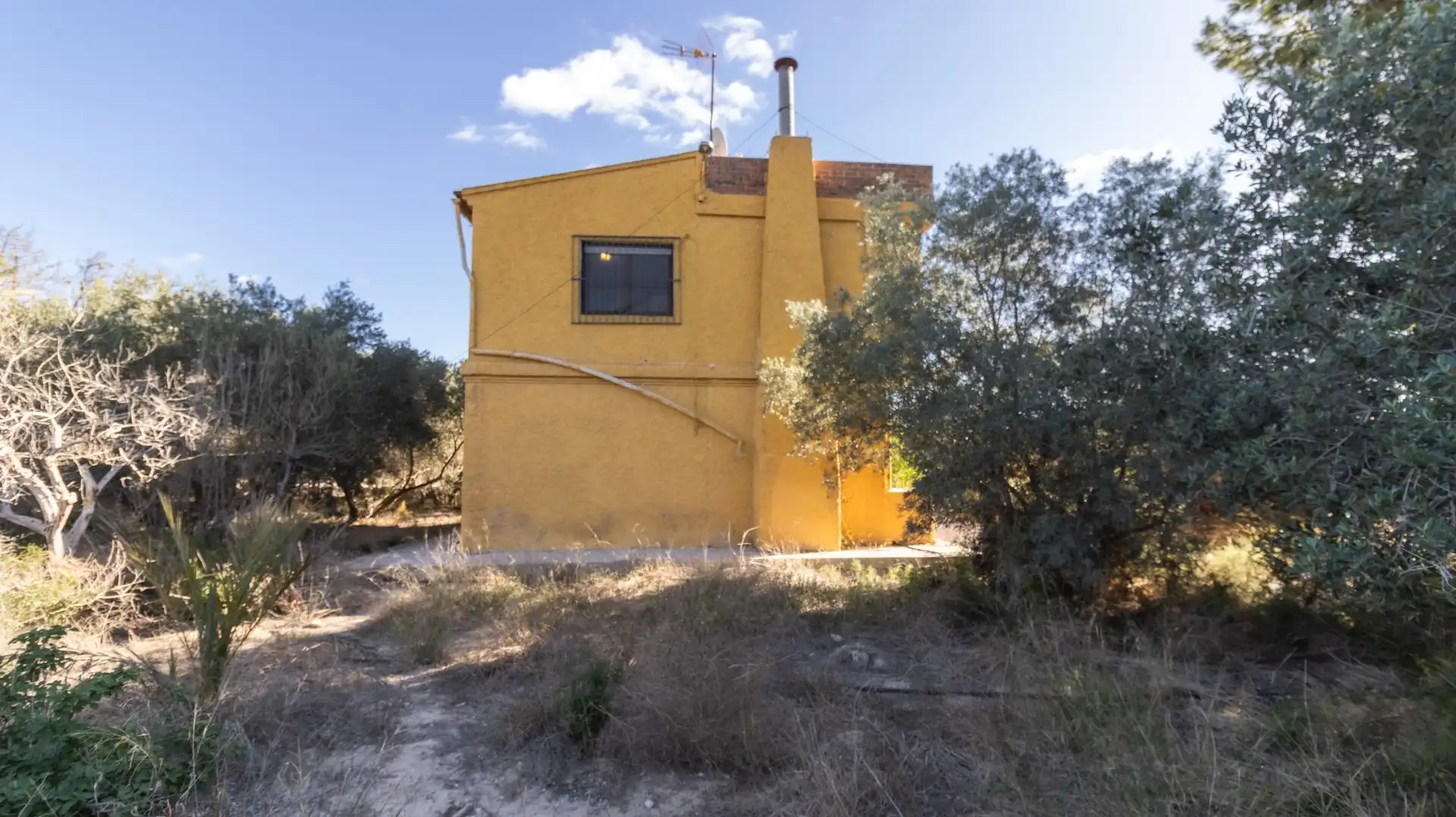 Vista exterior de Casa o chalet en venta en Elche / Elx con Trastero y Piscina