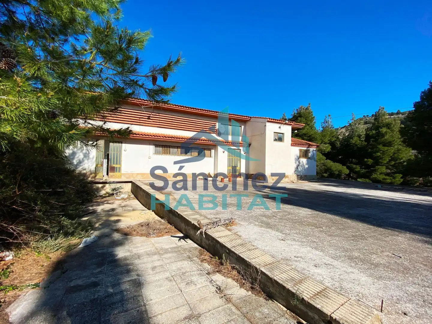 Exterior view of Industrial buildings for sale in Chelva