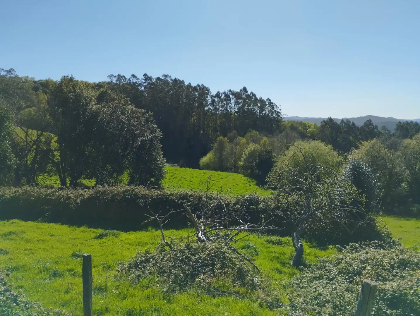 Casa o xalet en venda en As Somozas  amb Calefacció, Jardí privat i Moblat