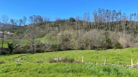 Photo 3 of Land for sale in Valdáliga, Cantabria