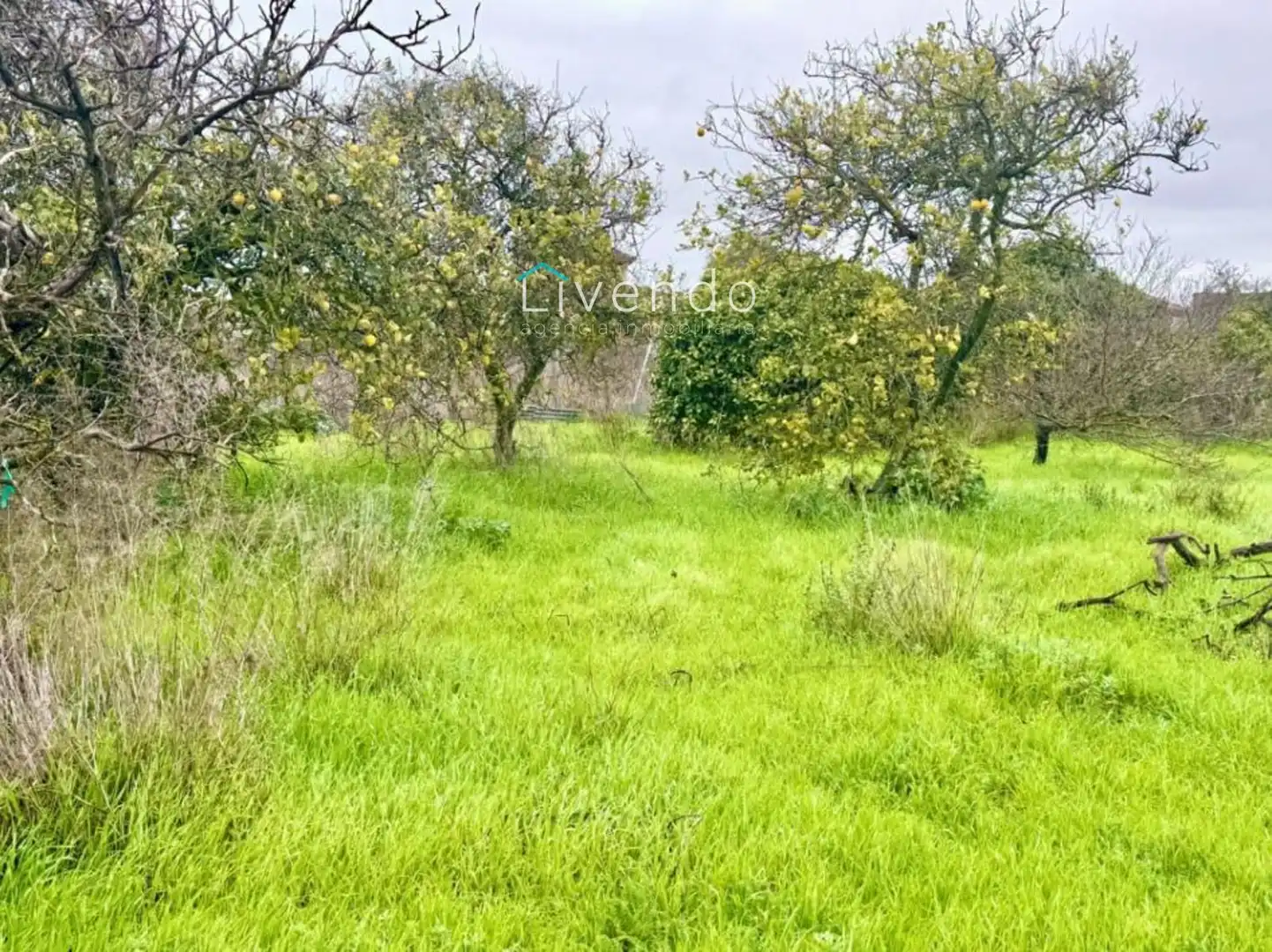Casa o xalet en venda en Chiclana de la Frontera amb Aire condicionat i Traster