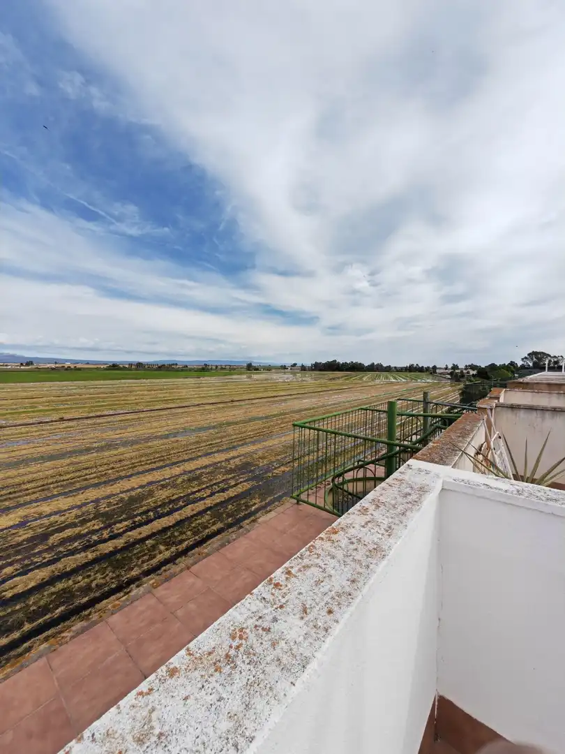 Flat with lift for sale in Eucaliptus- Poble Nou del Delta, imagen 27