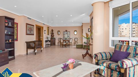 Apartamento para construir en la provincia de Alicante, en Torrevieja, distrito Playa del Cura. 5 habitaciones | 212 m² | 1 kilóme, imatge 3