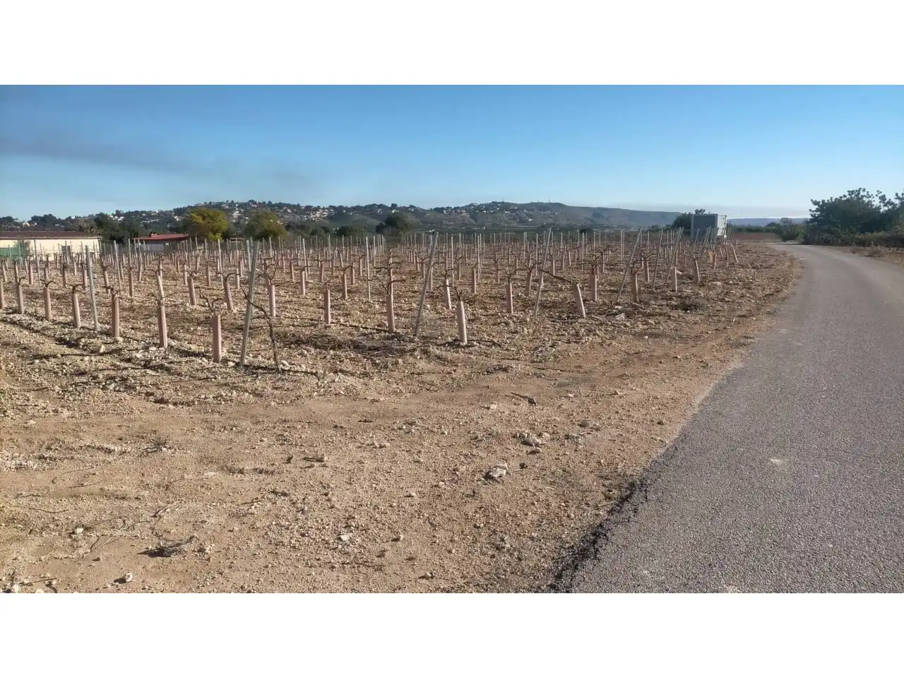Rural land for sale in Poligono 13, imagen 2