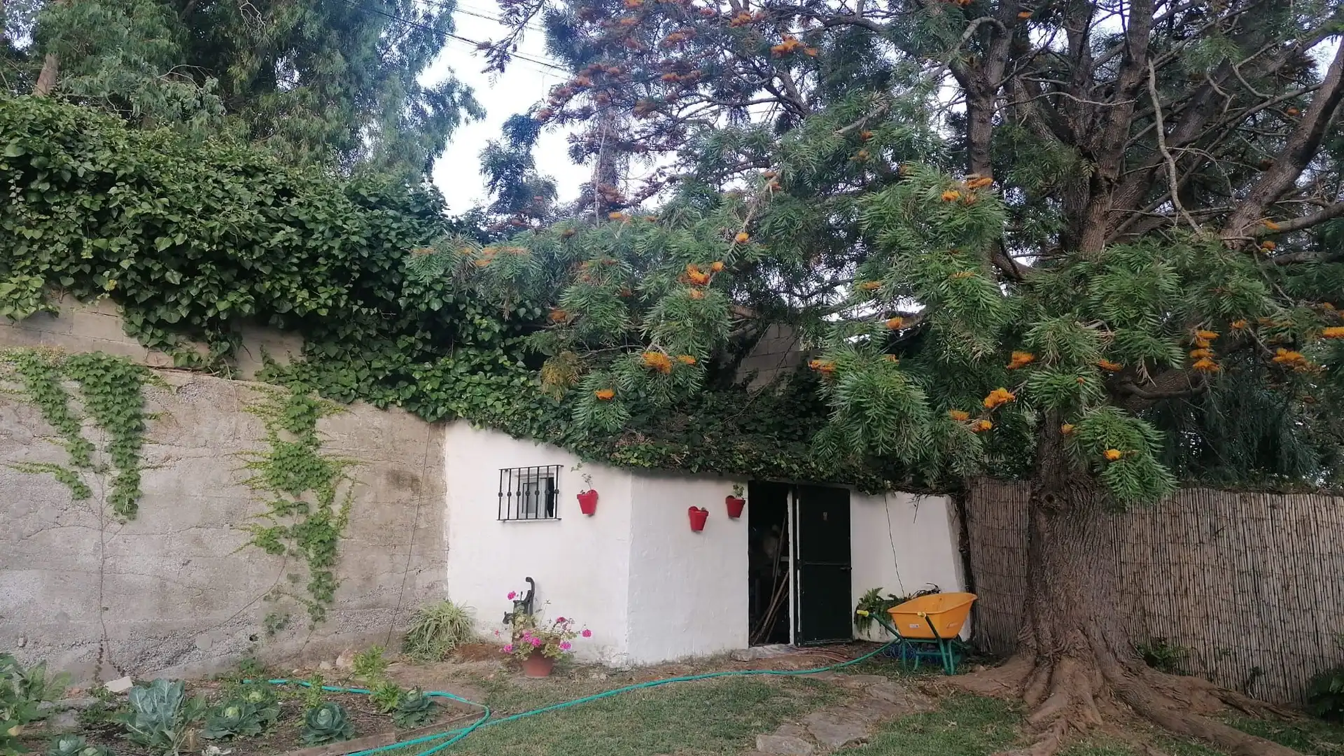 Jardí de Casa o xalet en venda en Algeciras amb Jardí privat