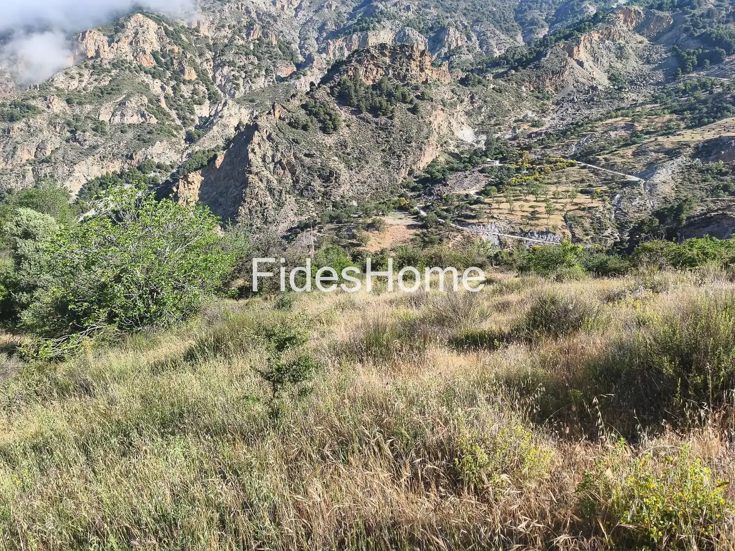 Rural land for sale in XFPP+9QX Nigüelas 0, imagen 16