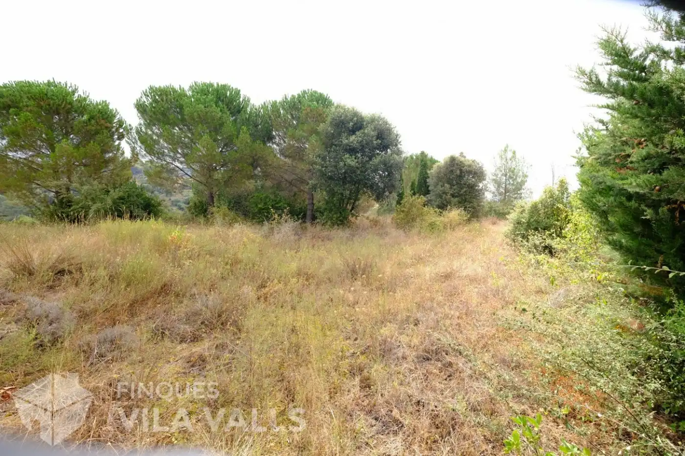 Terrenys i solars en venda a vinyetes, imagen 15