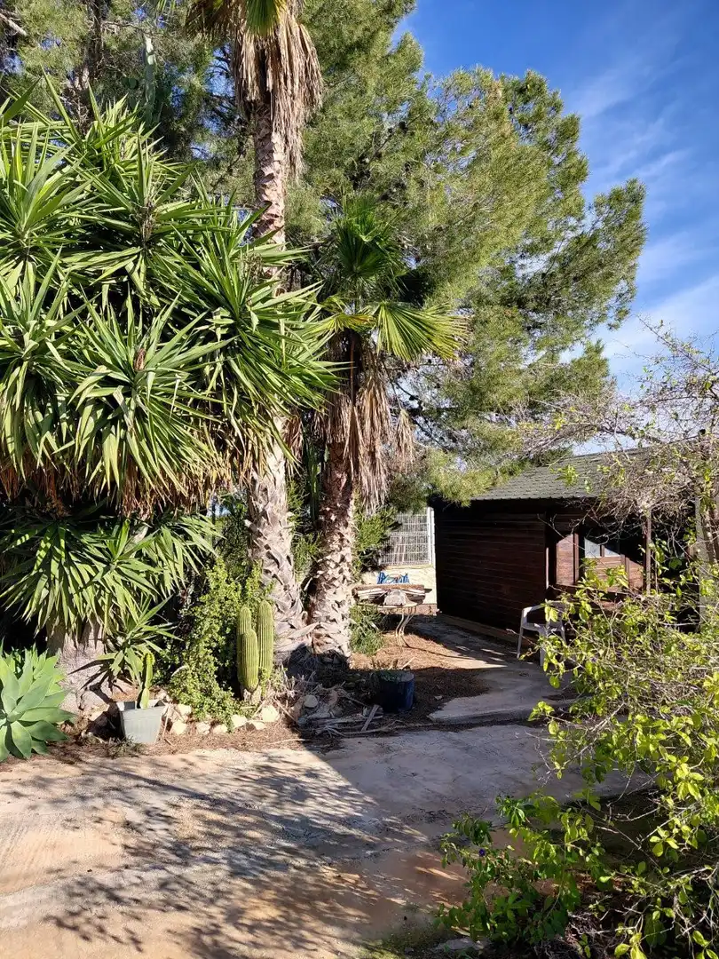 Jardín de Finca rústica en venta en La Murada - Los Vicentes