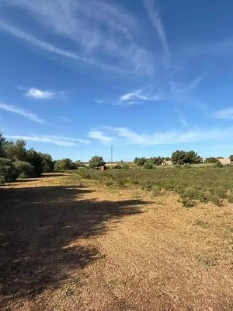 Terreny residencial en venda a Llucmajor - Camino d` Alacantí, imagen 11