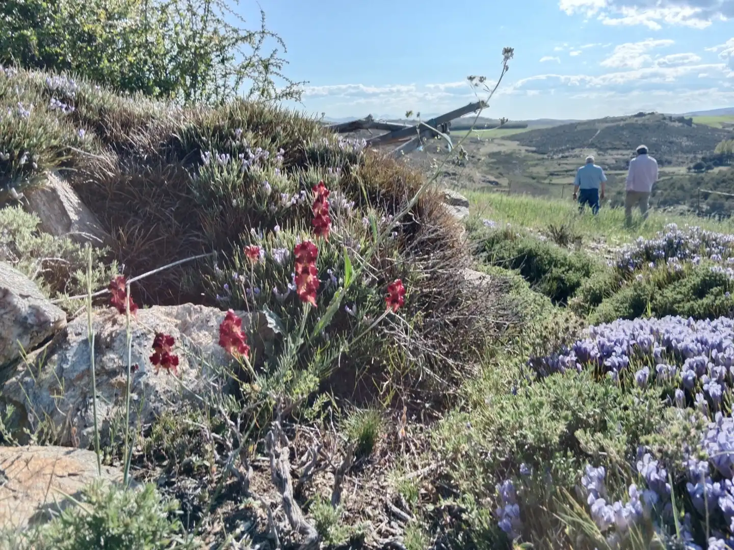 Jardí de Finca rústica en venda en Velefique amb Moblat