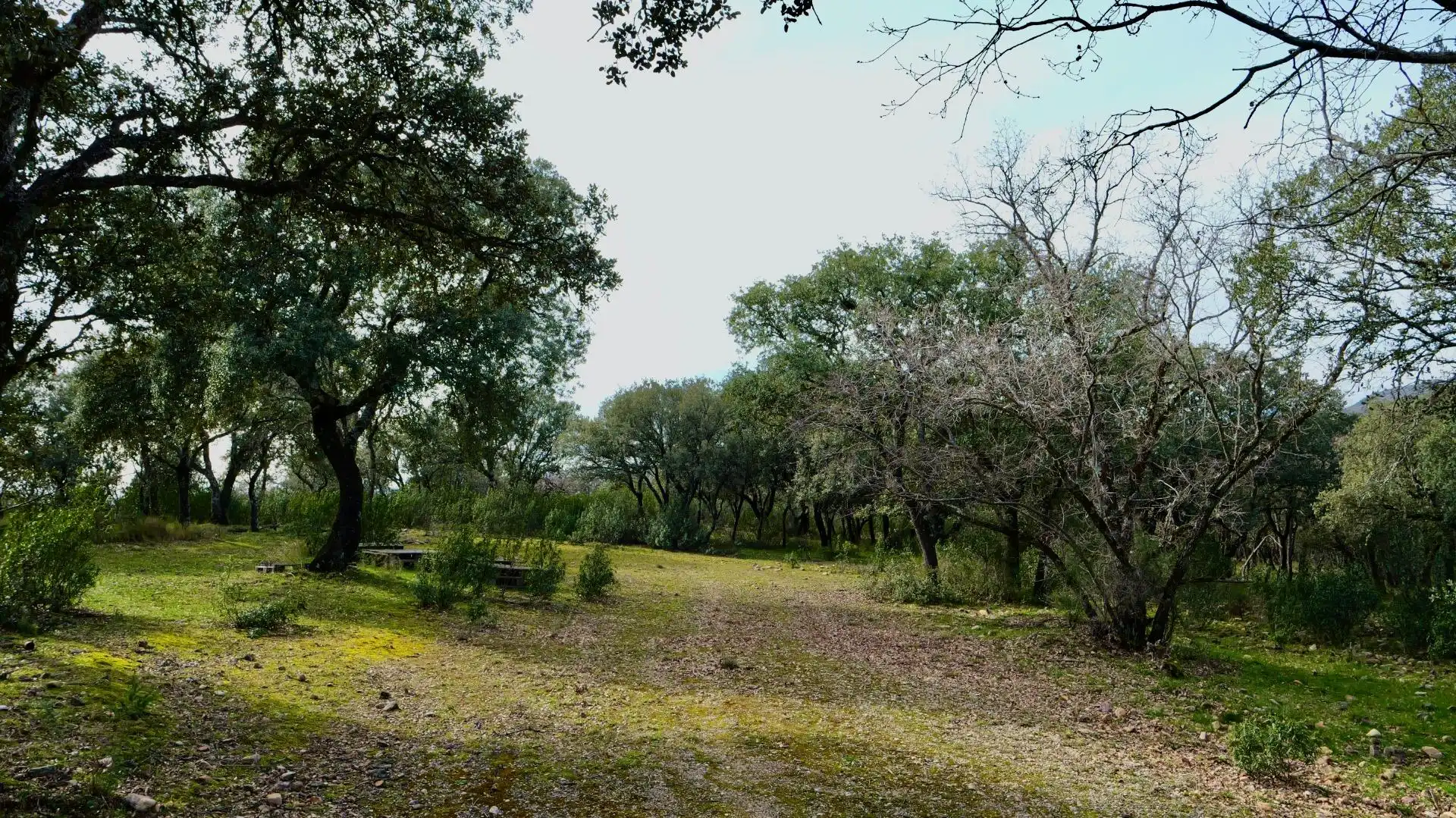 Land for sale in Arbancón