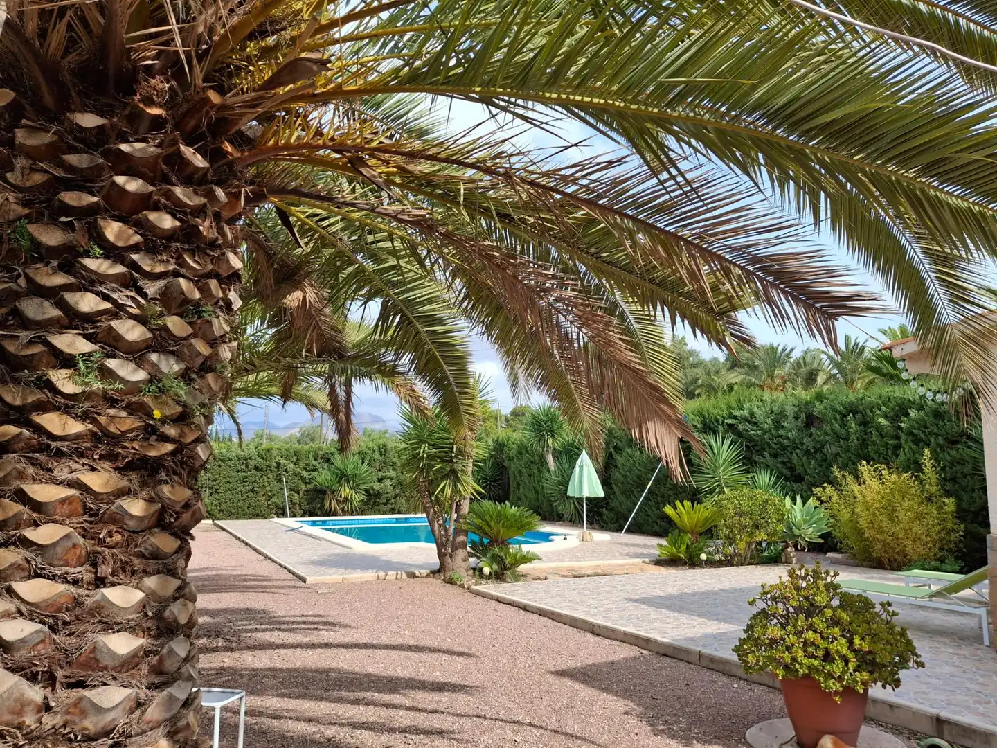 Jardín de Casa o chalet en venta en Novelda con Aire acondicionado, Calefacción y Jardín privado