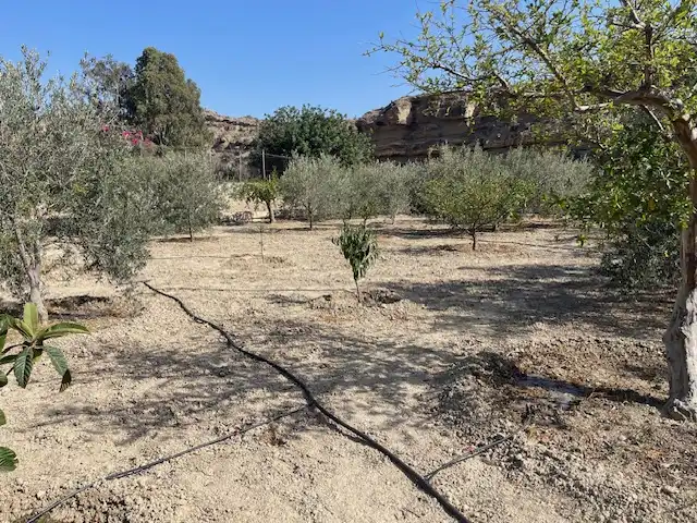Land for sale in Pechina