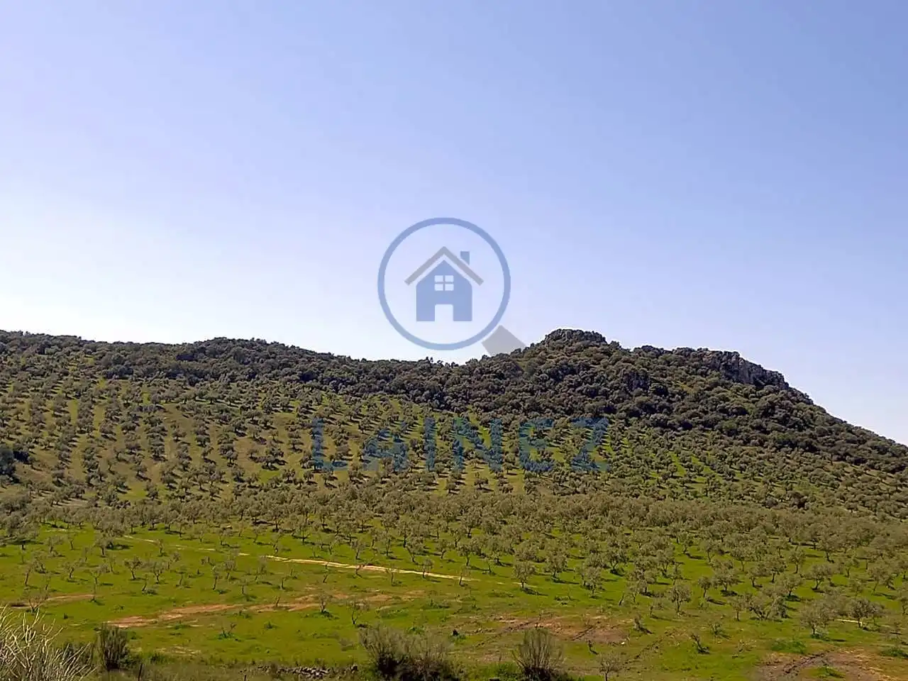 Terreny residencial en venda a Belmez, imagen 2
