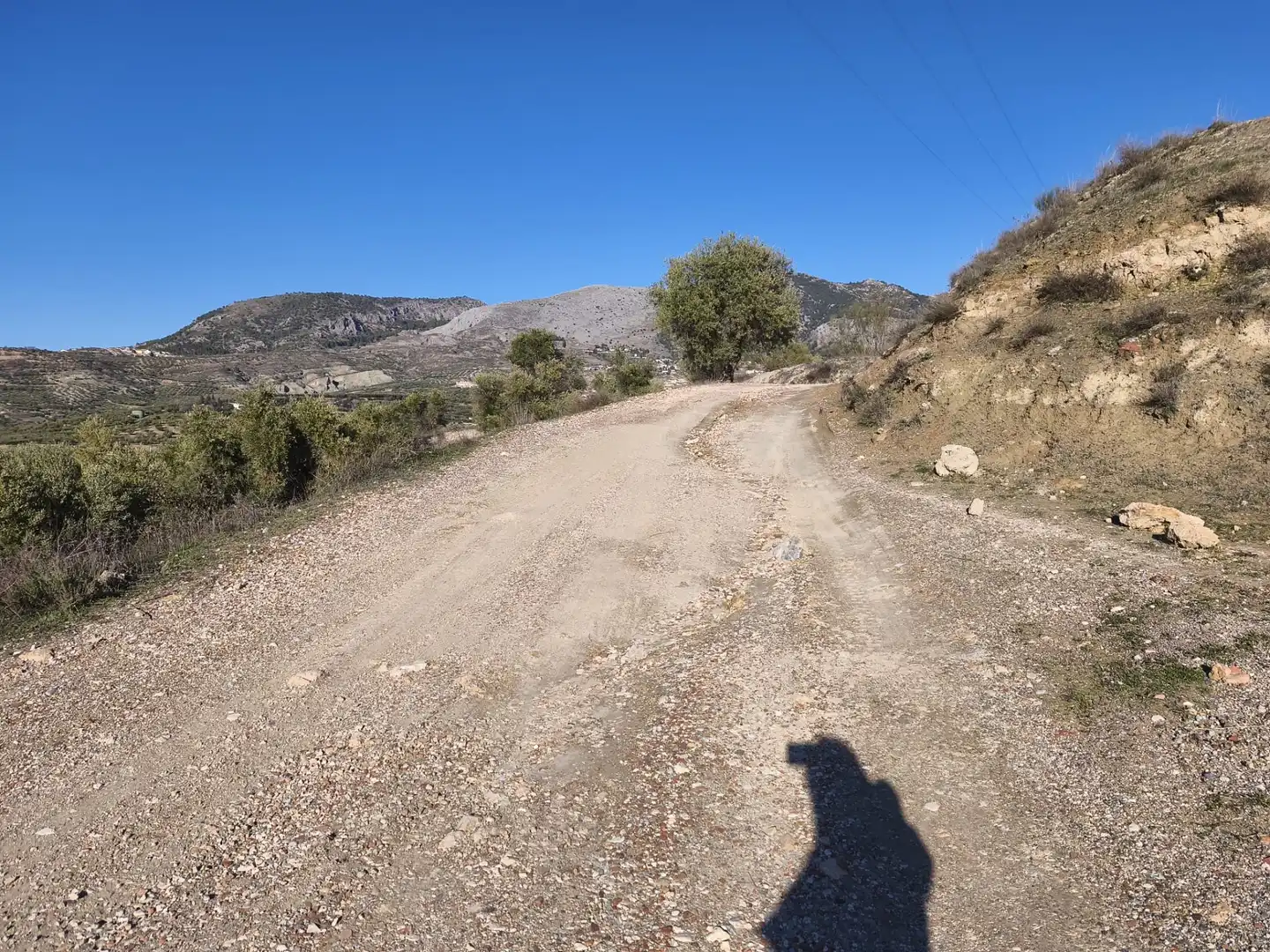 Lands and plots for sale in Alfacar, imagen 23