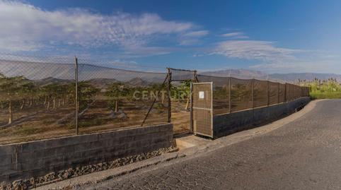 Photo 2 of Land for sale in Camino Patria, Motril, Spain, -1, Playa de Granada, Granada