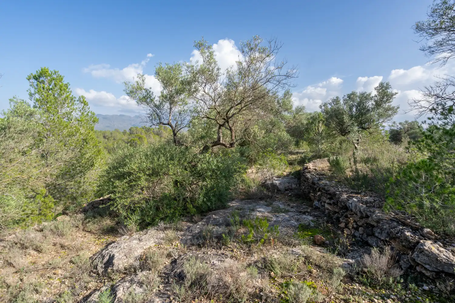 Terrain rustique à vendre à C-12 30, imagen 9