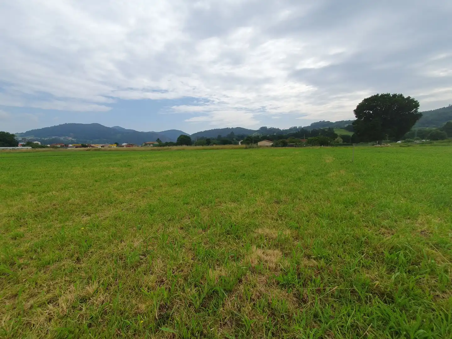 Finca rústica en venta en San Martín de Oscos