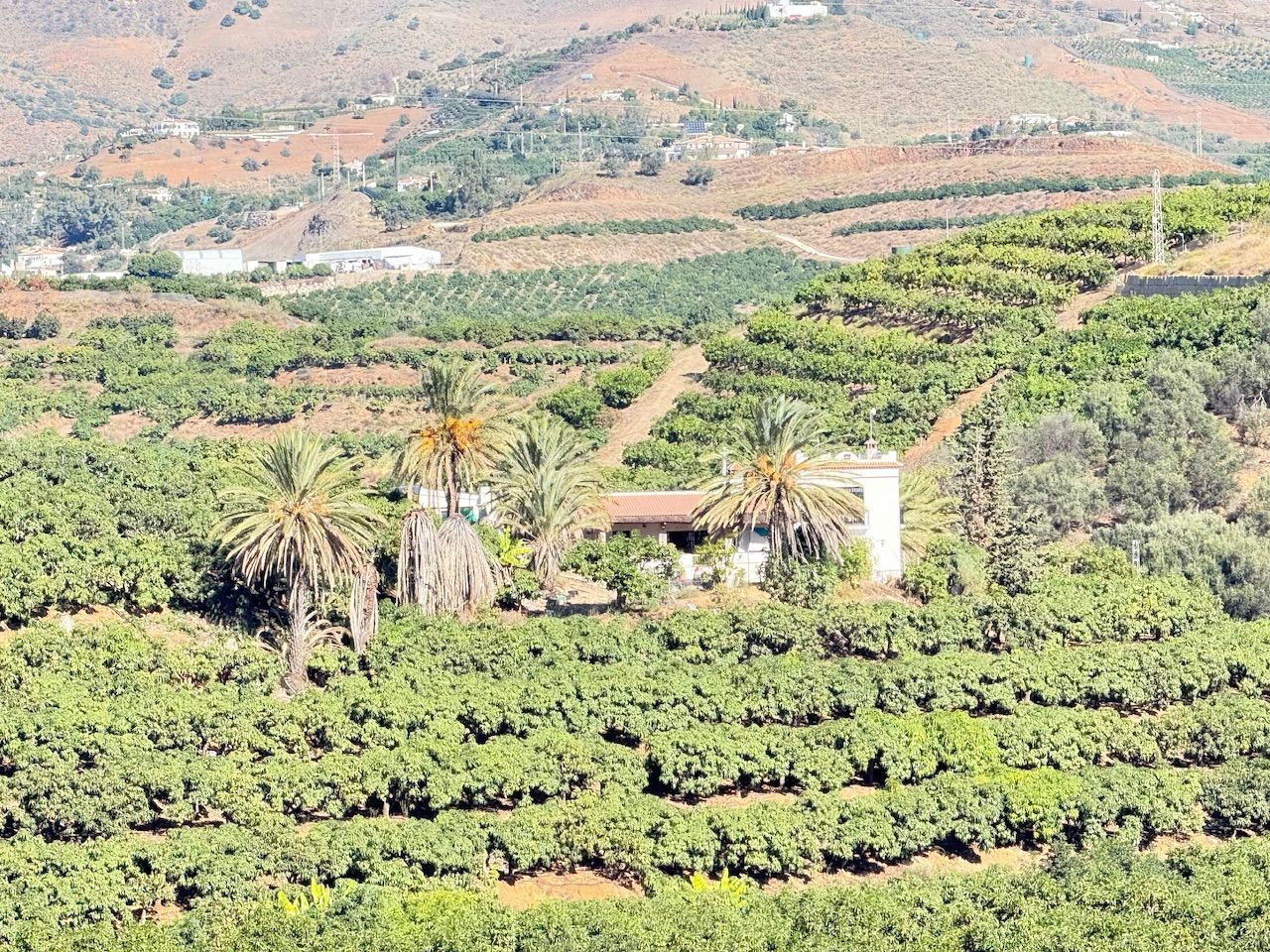 Exterior view of Land for sale in Vélez-Málaga