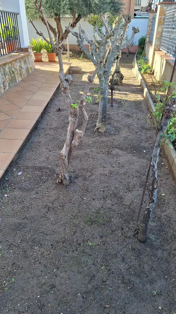 Casa o chalet en venta en Babilonia