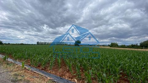 Photo 3 of House or chalet for sale in Pj Chana de Abajo, Carrizo, León