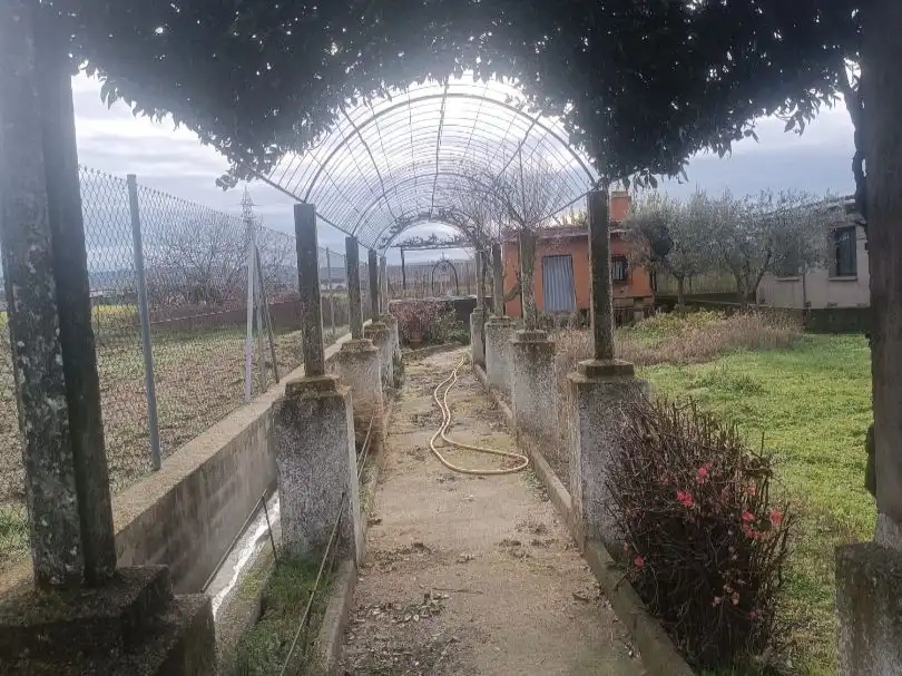 Terreno rústico en venta en Carretera Calera 1000, imagen 4