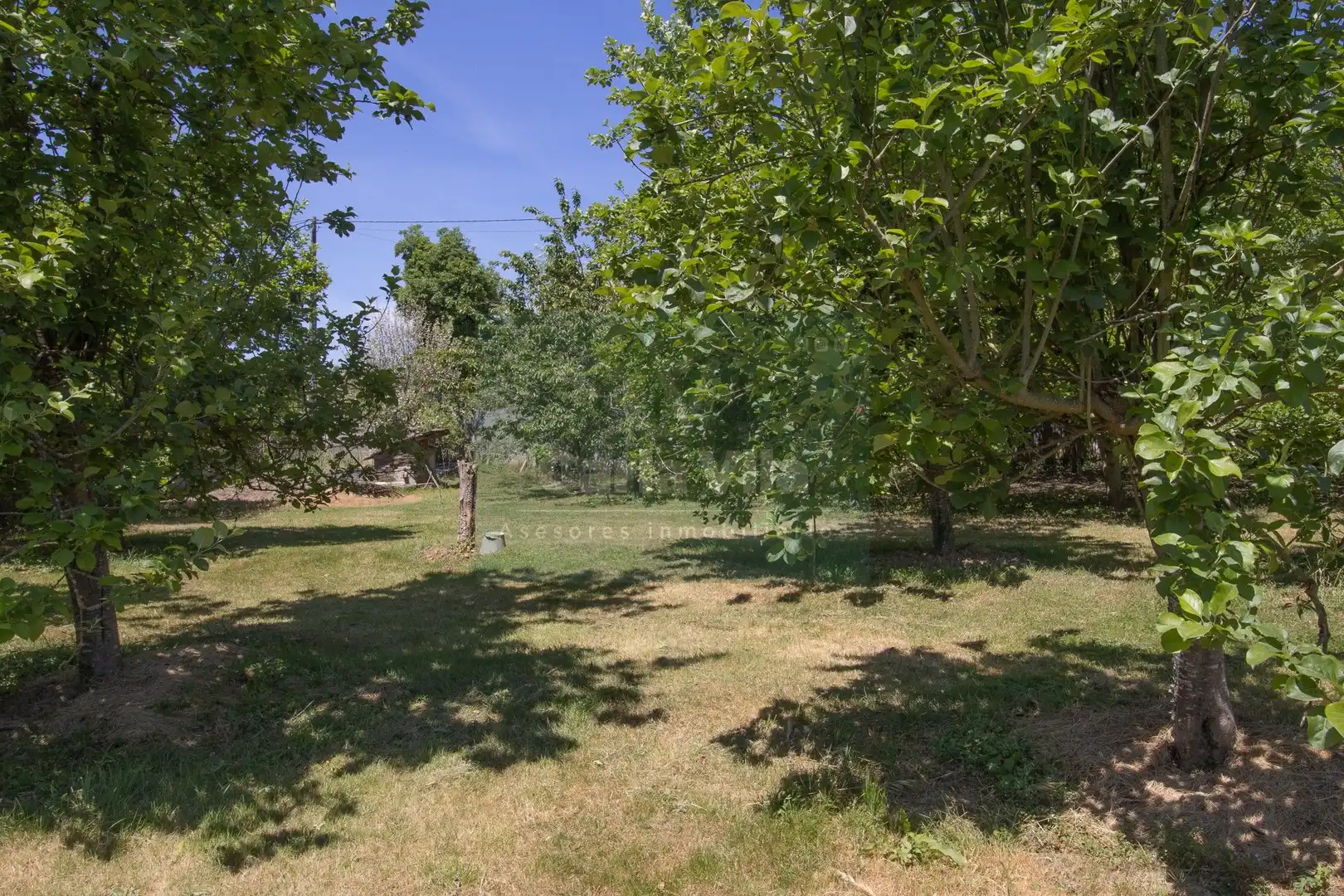 Casa o chalet en venta en Guntín con Terraza y Trastero