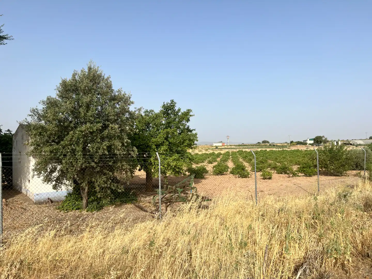 Terreny rústic en venda a Herencia, imagen 10