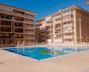 Piscina de Apartament en venda en Torrevieja amb Moblat, Forn i Rentadora