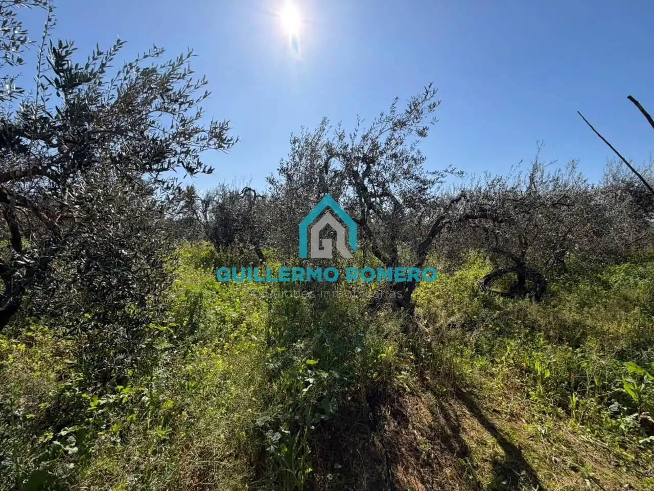 Finca rústica en venta en La Puebla del Río con Jardín privado y Terraza