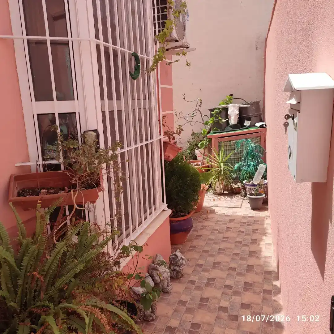 Jardí de Casa o xalet en venda en San Fernando amb Aire condicionat i Balcó
