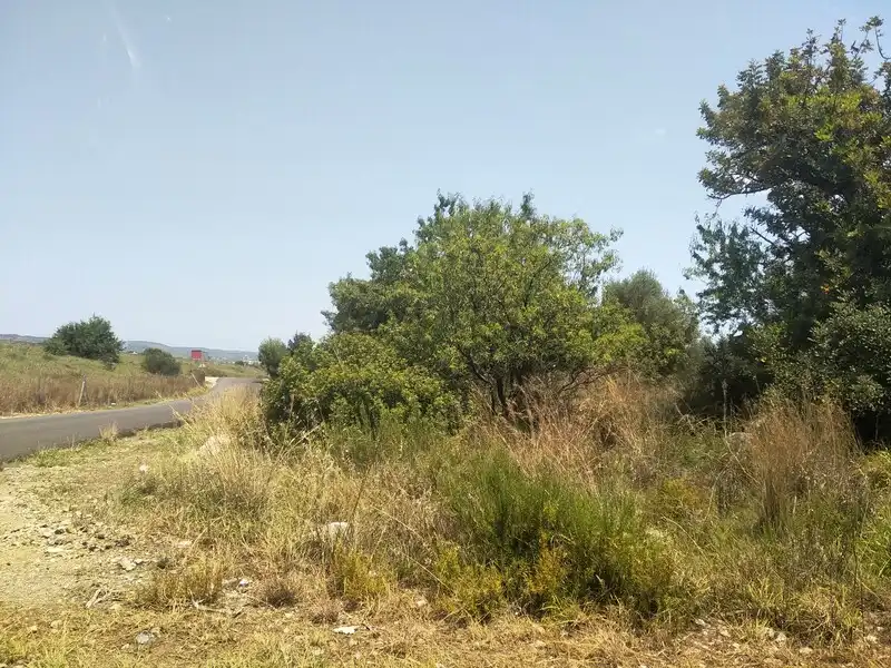 Terreny residencial en venda a Proc. Simplificado, imagen 4
