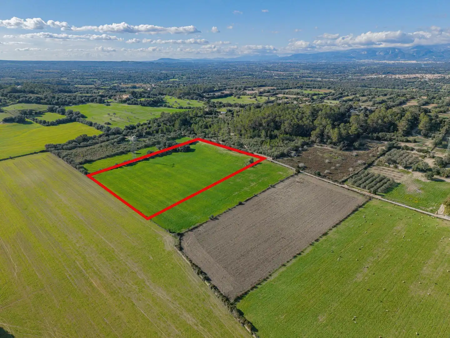 Grundstücke und Bauplätze zum Verkauf in Llubí, imagen 18