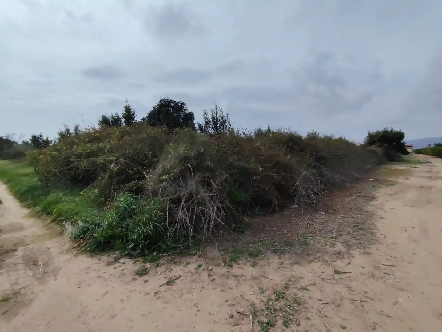 Lands and plots for sale in SECTOR SUNP 29, imagen 2