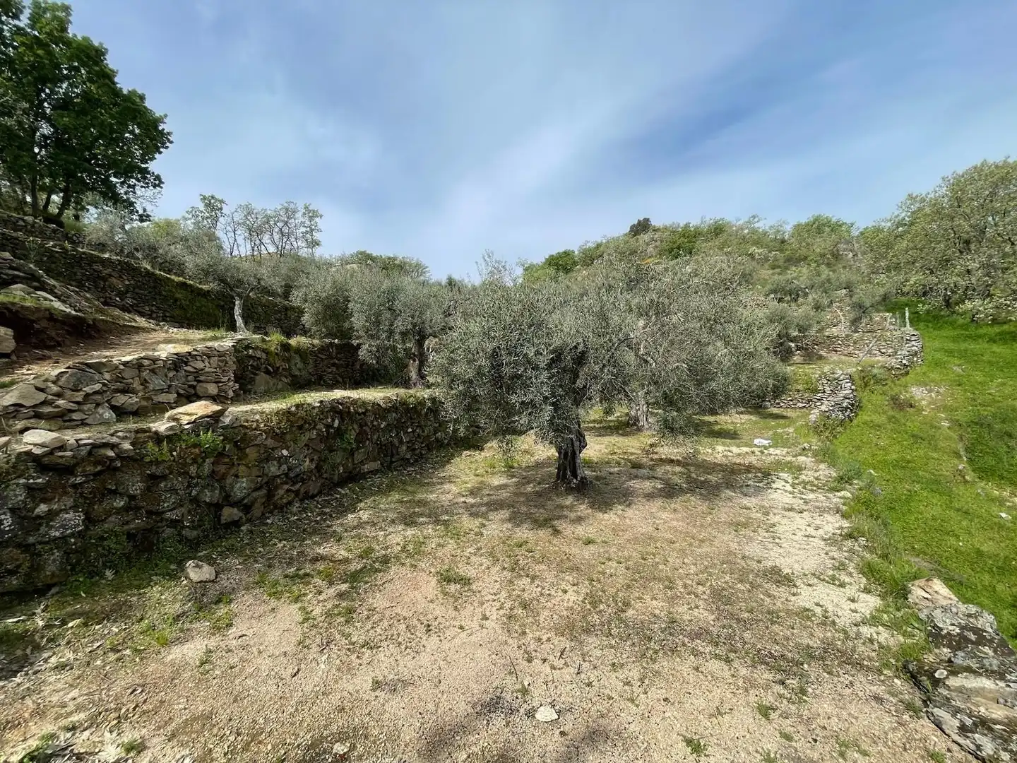 Terreni e lotti in vendita a Montánchez, imagen 28