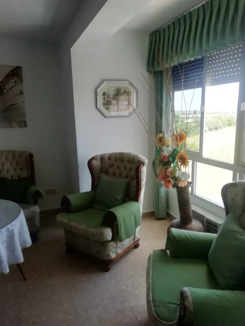 Sala d'estar de Pis en venda en Palma del Río