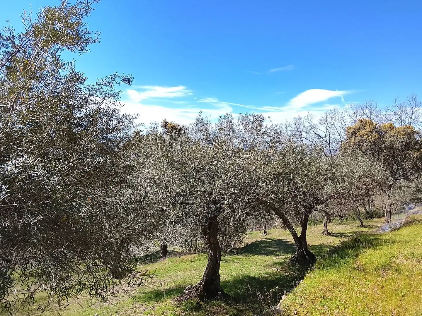 Terreni e lotti in vendita a Candeleda, imagen 30