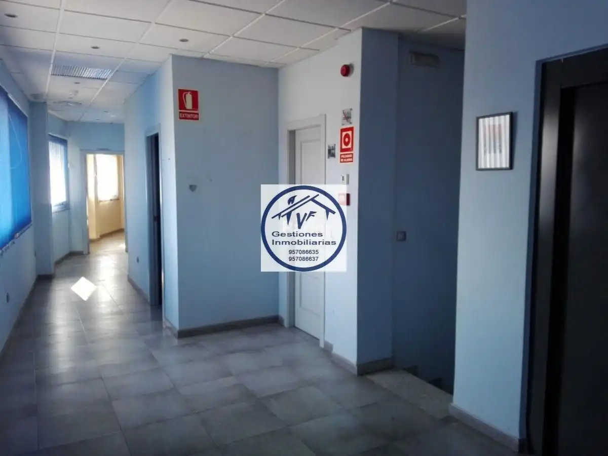 Nau industrial en venda a Periurbano Este - Campiña, imagen 14