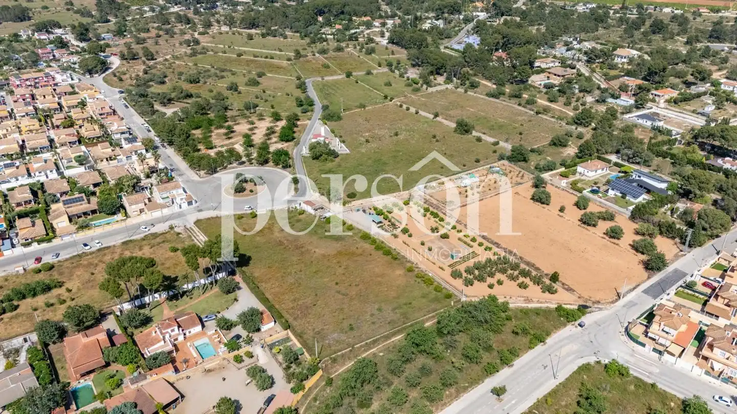 Lands and plots for sale in La Conarda - Montesano, imagen 25