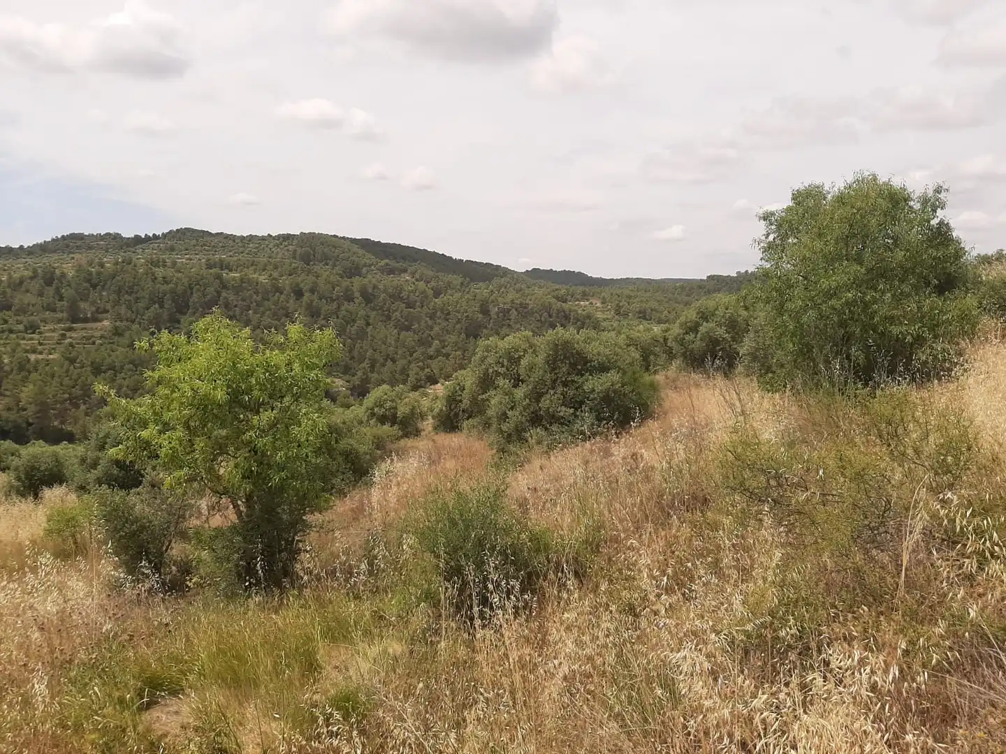 Casa adosada en venda en Cervià de Les Garrigues amb Jardí privat, Terrassa i Balcó