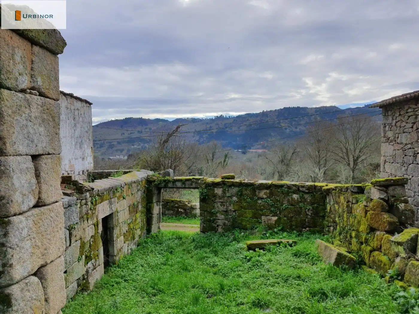 Houses for sale in San Rosendo