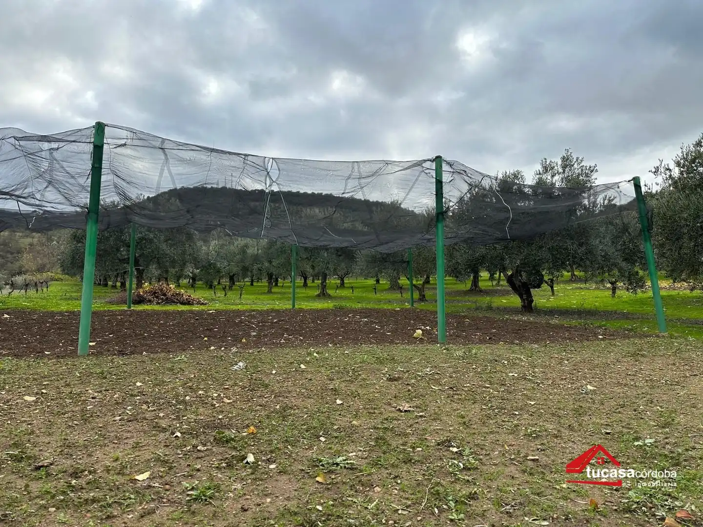 Terreno rustico in vendita a Villanueva del Rey, imagen 13